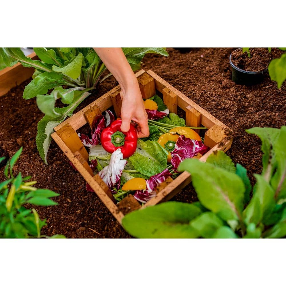 Best deal โ๏ธ Mezza 3'L x 5'W x 22"H Cedar Keyhole Composting Garden, Golden Brown, VT17702 by VITA ๐ - Image 5